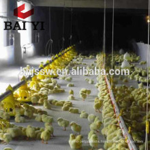 Poultry Farm Ground Raising Chicken Broiler Equipment